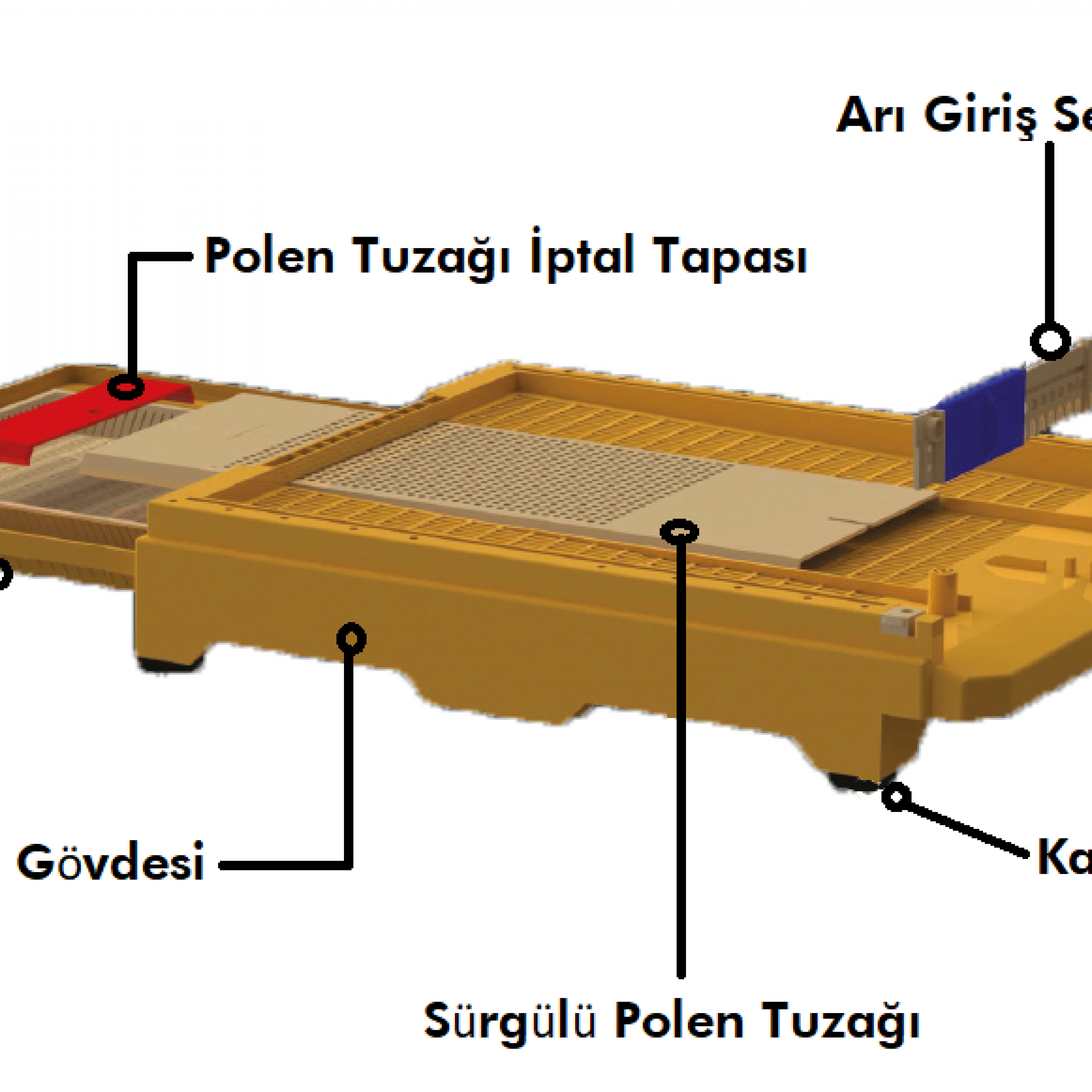 Apimaye F Tipi Kovan Tabanı (44×52)