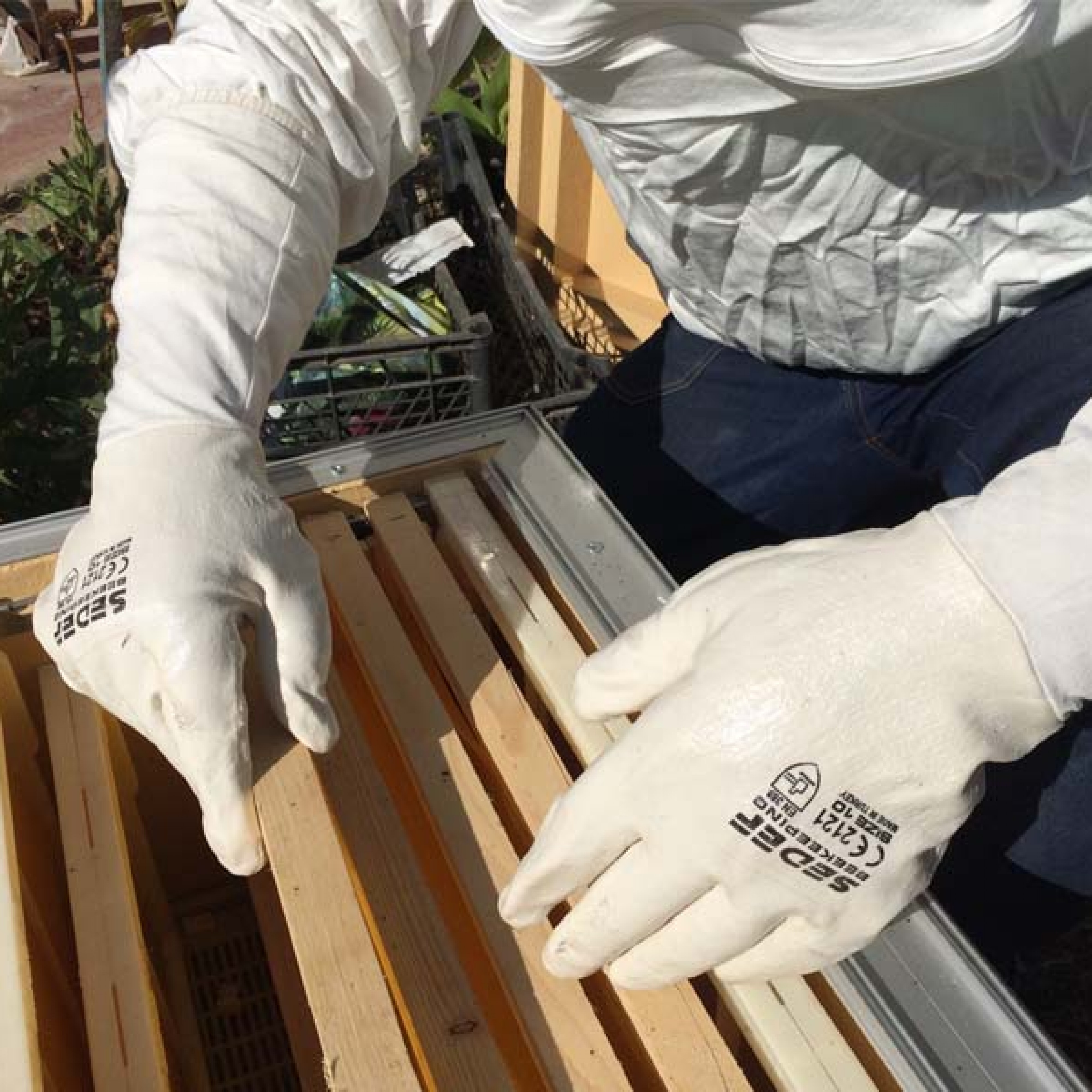 Arıcı Eldiveni (Nitril Eldiven)