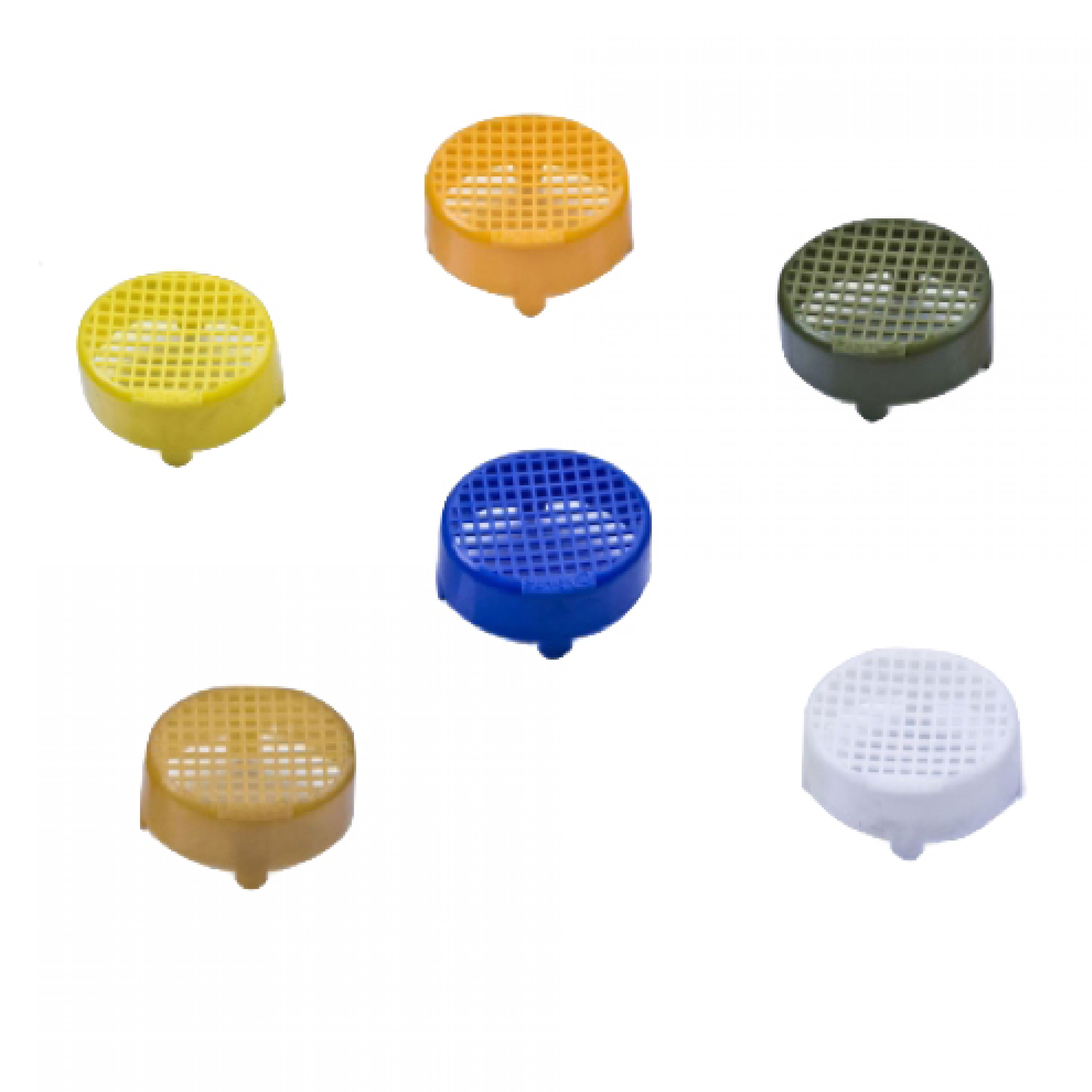 Ana Arı Memesi Hapis