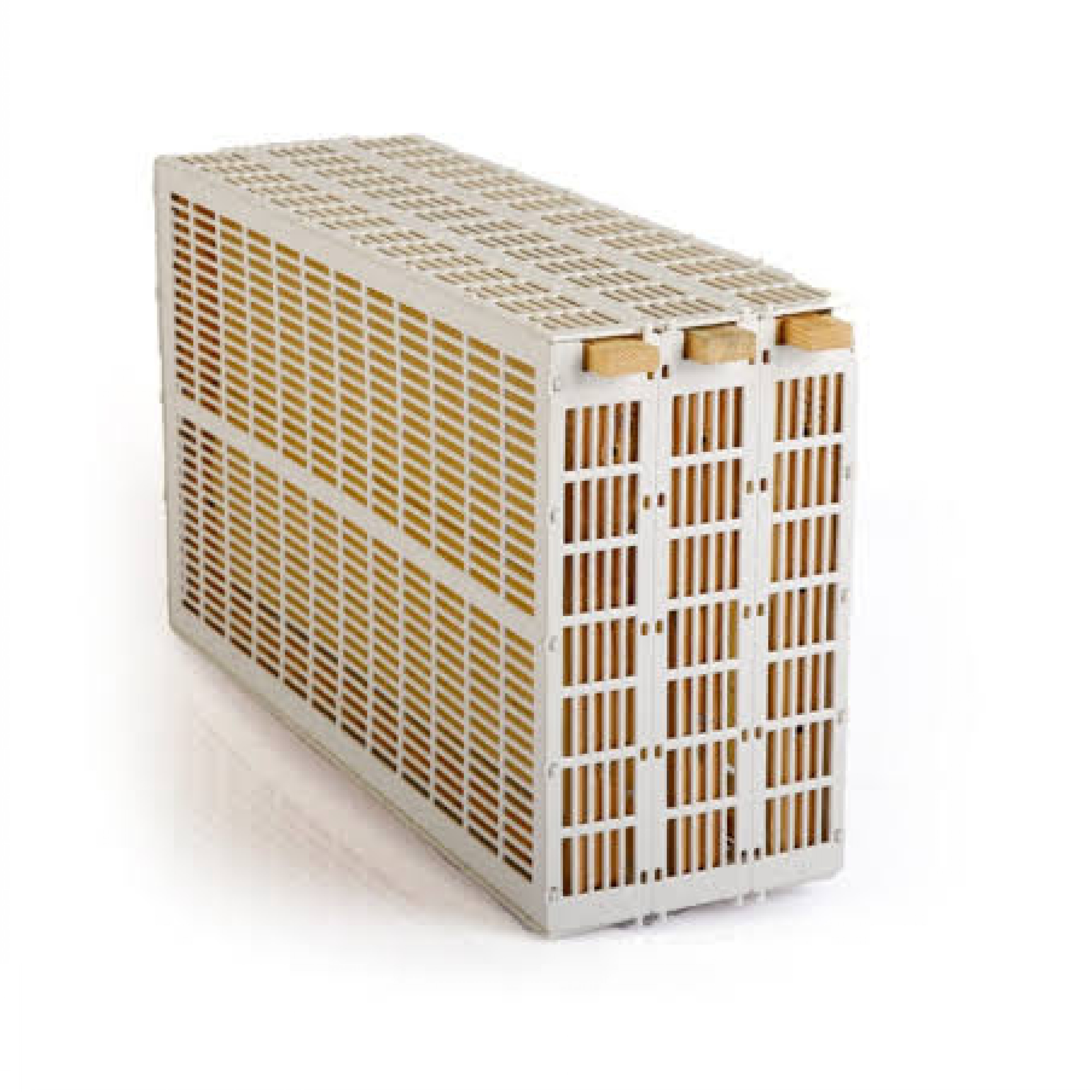 Ana Arı Hapis Çerçevesi (3'lü)