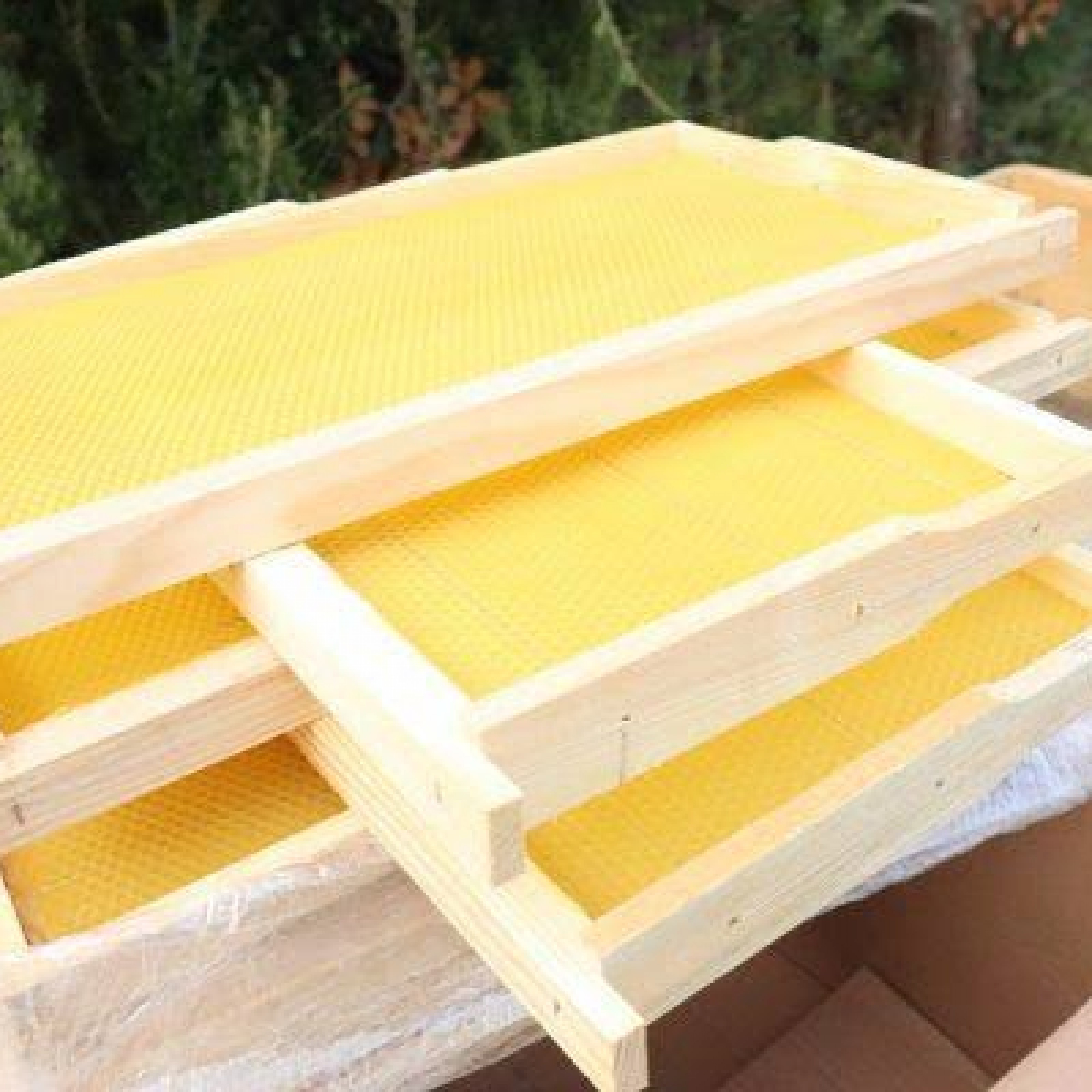 Hazır Petekli Çerçeve (10 adet) 