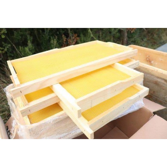 Hazır Petekli Çerçeve (10 adet)