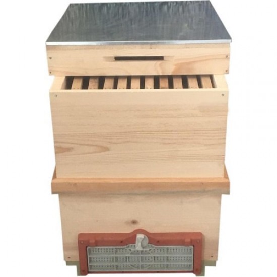 Arı Kovanı (Çift Katlı,çerçeveli)