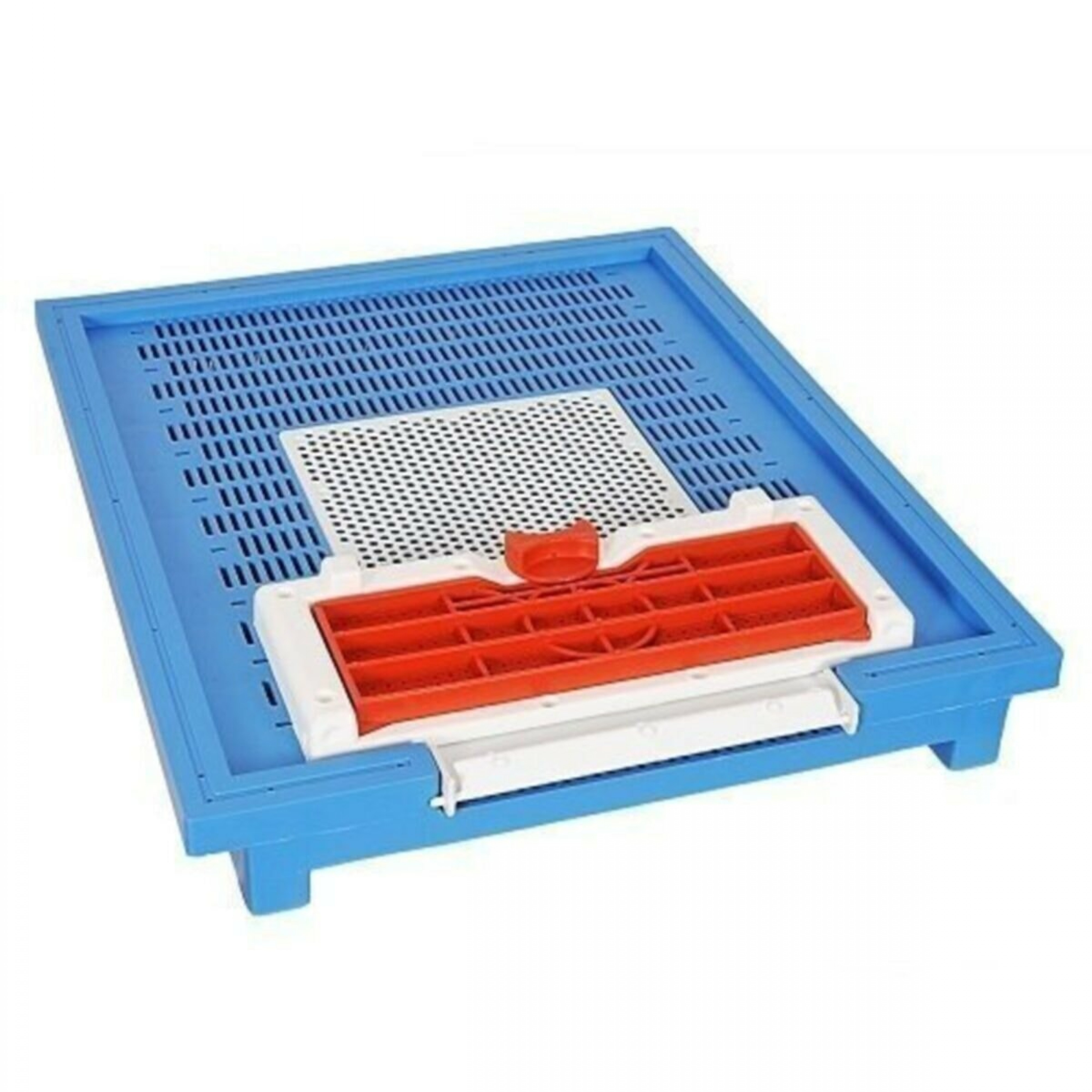 Kovan Tabanı (Mavi Taban)