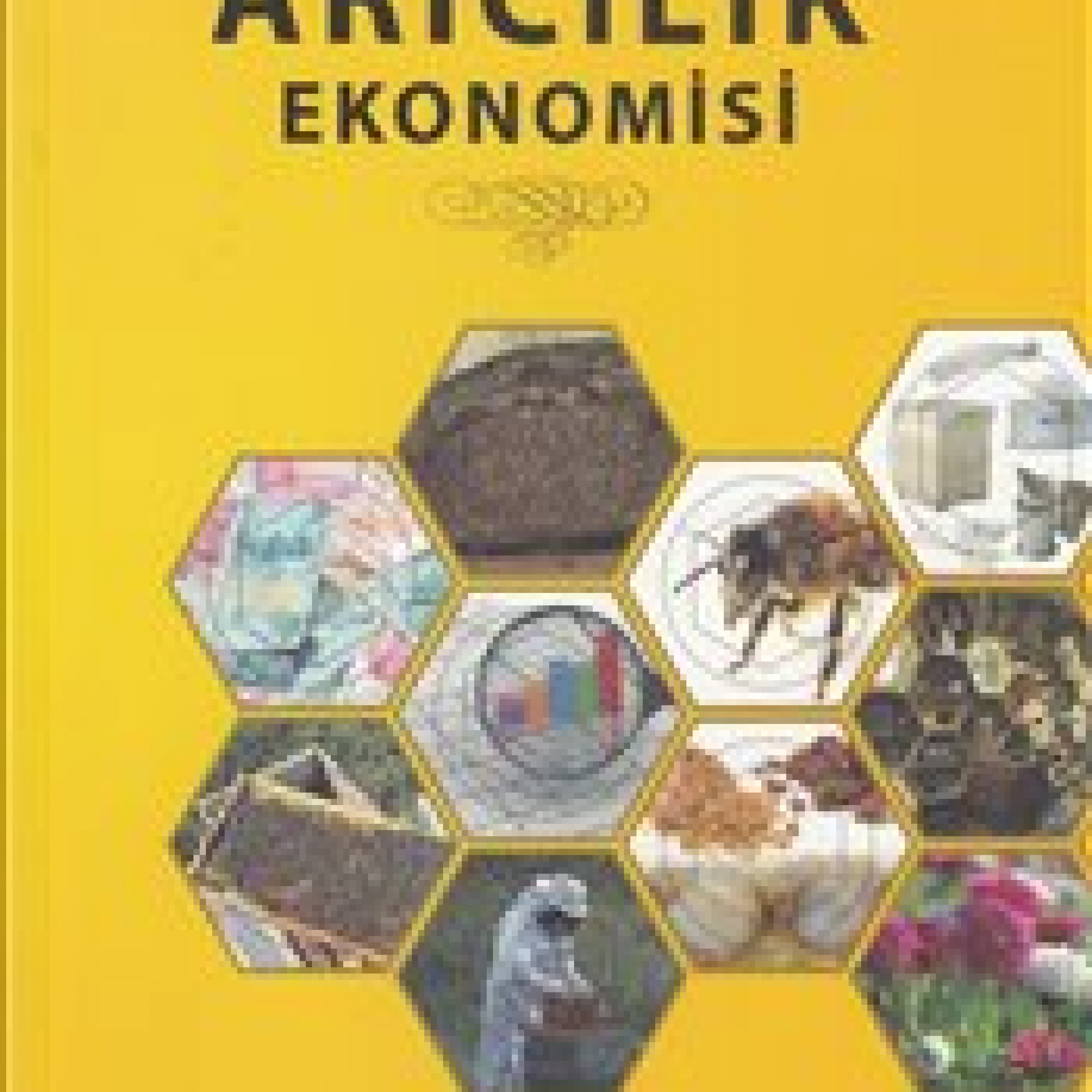 Arıcılık Ekonomisi Kitabı